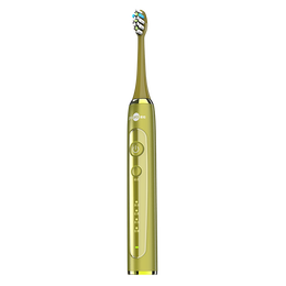 博皓（prooral）声波电动牙刷 感应充电式 自动牙刷成人 情侣款 生日礼物 礼盒装 T31 高频振动|感应充电|绿翎羽