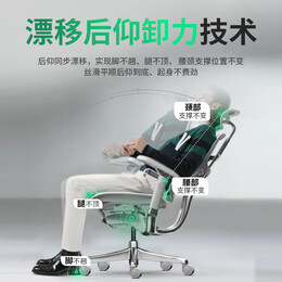 Ergonor【重磅新品】保友金豪L2电竞人体工学椅久坐电脑家用办公老板座椅 银白美国网 整椅发货 送货上门