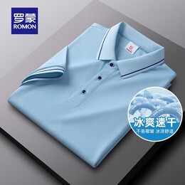 罗蒙（ROMON）短袖t恤男polo领透气薄款2025夏季新款中青年商务百搭休闲上衣 浅蓝 XL (175) 【建议135-155斤】