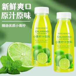 彩箱 小青柠汁300ml柠檬水网红饮料柠檬果味优选青柠解渴饮品批发 300mlX6瓶彩箱装K