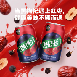 枣乐滋甘肃临泽黑杞枣汁 张掖特产滋补养生膳食纤维饮品营养健康 310ml*6罐