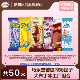 伊利巧乐兹冰工厂大布丁奶提子四个圈 共50支（3200g）