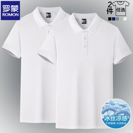 罗蒙（ROMON）两件装冰丝短袖t恤男翻领夏季薄款纯色男士半袖体恤衫男装上衣 白色+白色 M