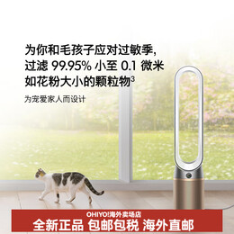 戴森（DYSON）阿里TP09白/黑空气净化器循环二合一循环家用无叶风扇 TP09 白金色