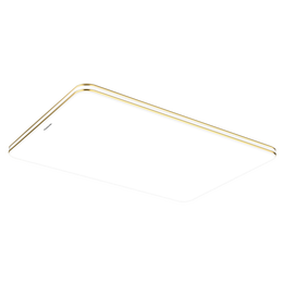 20點開始、PLUS會員：Panasonic 松下 HHLAZ6078A LED吸頂燈 100W 金邊