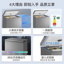 家裝季：Midea 美的 BD/BC-200KMF(E) 冰柜 200升