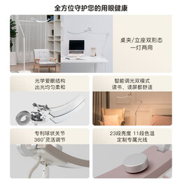 明基（BenQ）WiT Floor护眼落地灯 工作学习现代北欧LED书房客厅卧室落地灯 银色