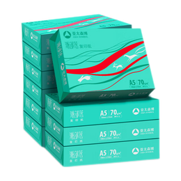 Asia symbol 亞太森博 派部落 A5打印紙 70g 500張*10包 整箱5000張