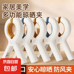 【抖音爆款】a夹子晾衣夹晾被子棉被夹防滑风晾衣架工具 A字夹加厚随机一个