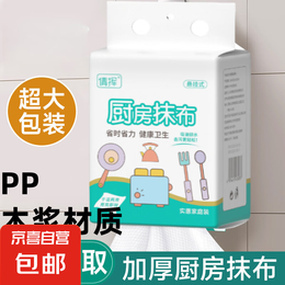 a4文件袋拉链式透明办公用学生文件收纳袋资料袋a5小学生初中生a3装试卷袋子文具袋 【1包装】20*20CM/30抽/挂式抹布