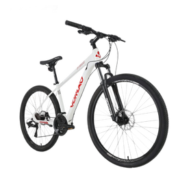 XDS 喜德盛 風(fēng)云600 運動單車 紅/白色16寸