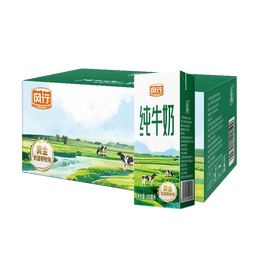 风行牛奶纯牛奶200mL*24盒高温灭菌生牛乳苗条砖礼盒装量贩装
