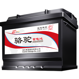 骆驼(CAMEL)汽车电瓶蓄电池L2-400(2S)东风标致301以旧换新上门安装