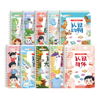 斗半匠识字启蒙游戏书幼儿学前识字卡片宝宝早教安静书手撕拉粘贴魔术贴认字全套婴儿撕撕书益智玩具 【10本 全套】识字启蒙游戏书全套