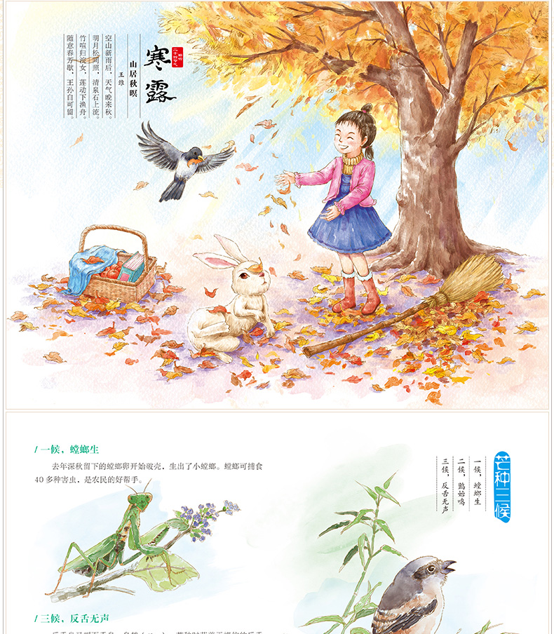 聆听二十四节气全4册童早教启蒙原创科普绘本故事书儿童睡前大画书