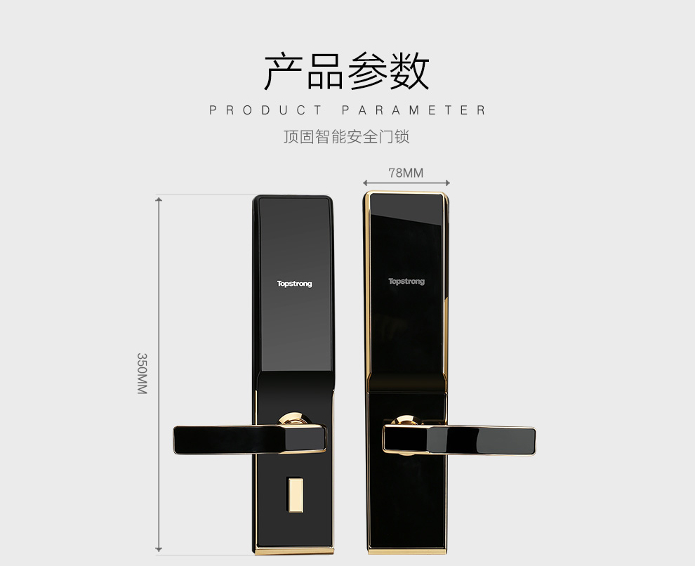 顶固(topstrong 顶固指纹锁 家用智能防盗密码锁 防盗入户门锁 指纹