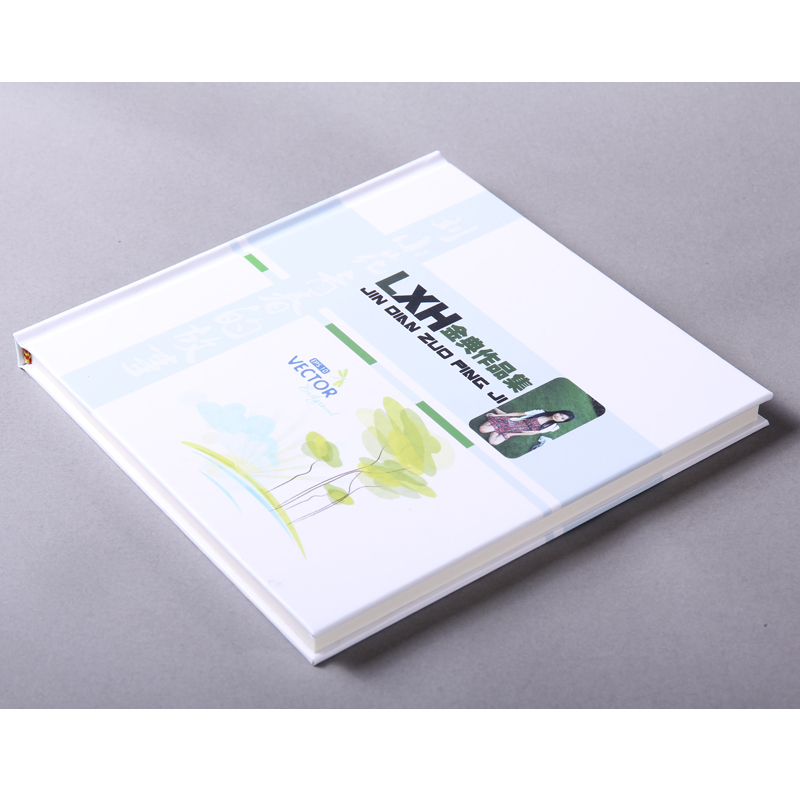 个性相册制作-数码大师2010免费版|相册制作|个