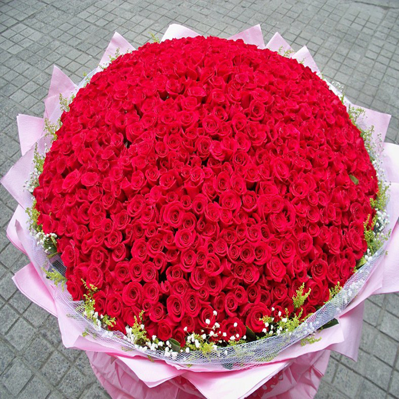 999朵玫瑰花