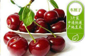 长沙京东团购团购,【预售-烟台车厘子】烟台新