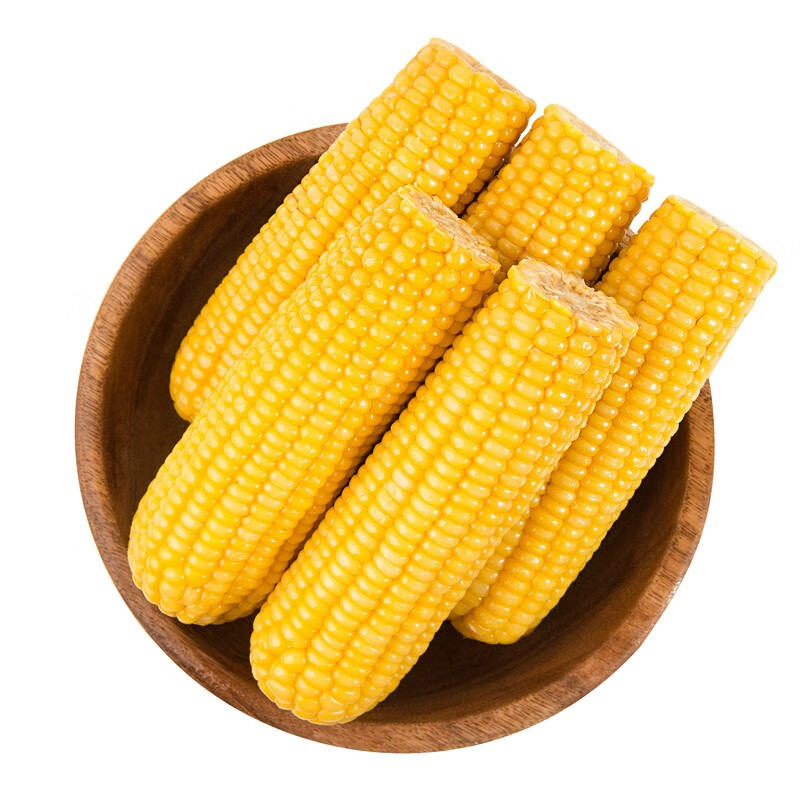 东北糯玉米头茬玉米150170g棒10支装