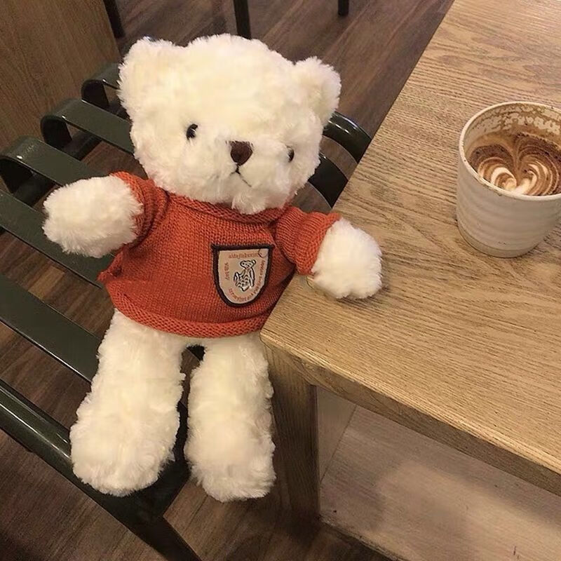 韩国ins可爱红色毛衣熊毛绒泰迪熊学生生日礼物抱熊公仔玩偶情侣