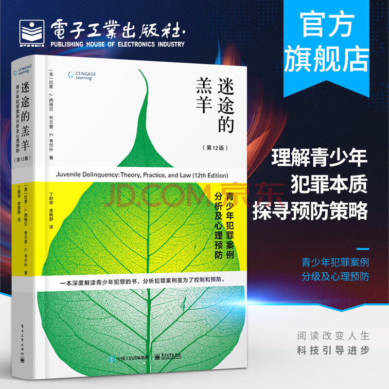 官方正版迷途的羔羊青少年犯罪案例分析及心理预防第12版青少年犯罪心理学青少年犯罪分析预防书 摘要书评试读 京东图书