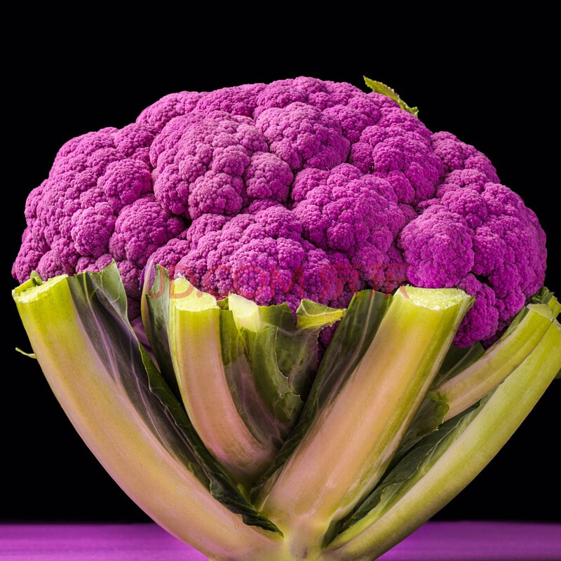 大禹西兰花菜种子早熟松花菜种籽宝塔菜花椰菜苗西兰苔秋冬季播种农家阳台盆栽种植 紫色花菜 紫花1号种子10粒 图片价格品牌报价 京东