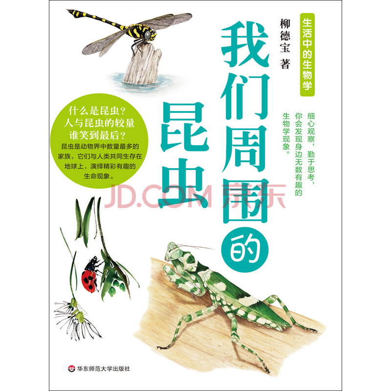 我们周围的昆虫 柳德宝 电子书下载 在线阅读 内容简介 评论 京东电子书频道 我们周围的昆虫 柳德宝 电子书下载 在线阅读 内容简介 评论 京东电子书频道