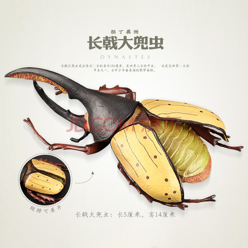 昆虫动物玩具模型儿童仿真实心玩具甲壳虫独角仙认知礼物长戟大兜虫 大号原比例翅膀可动可拆卸 图片价格品牌报价 京东 昆虫动物玩具模型儿童仿真实心玩具甲壳虫独角仙认知礼物长戟大兜虫 大号原比例翅膀可动可拆卸 图片价格品牌报价 京东