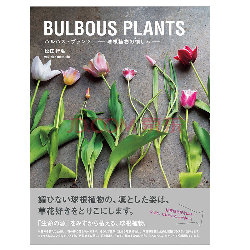Bulbous Plantsの愉しみ 球根植物种植方法手工园艺水仙百合种植日文原版日版日本图书 摘要书评试读 京东图书