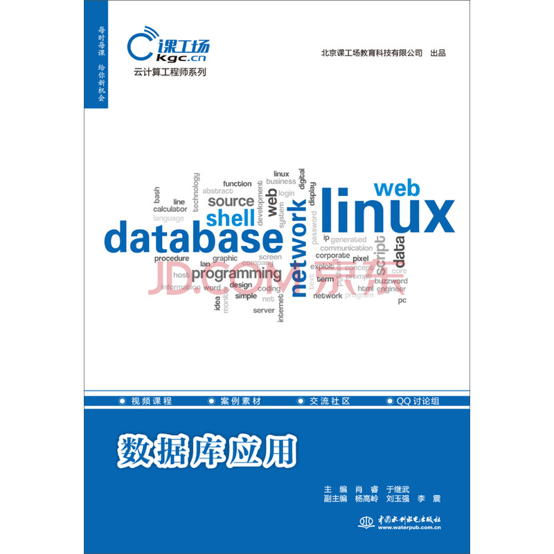 正版现货数据库应用中国水利水电 摘要书评试读 京东图书