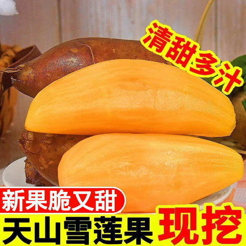 绿相忆雪莲果净5斤 19.9元 - 线报酷