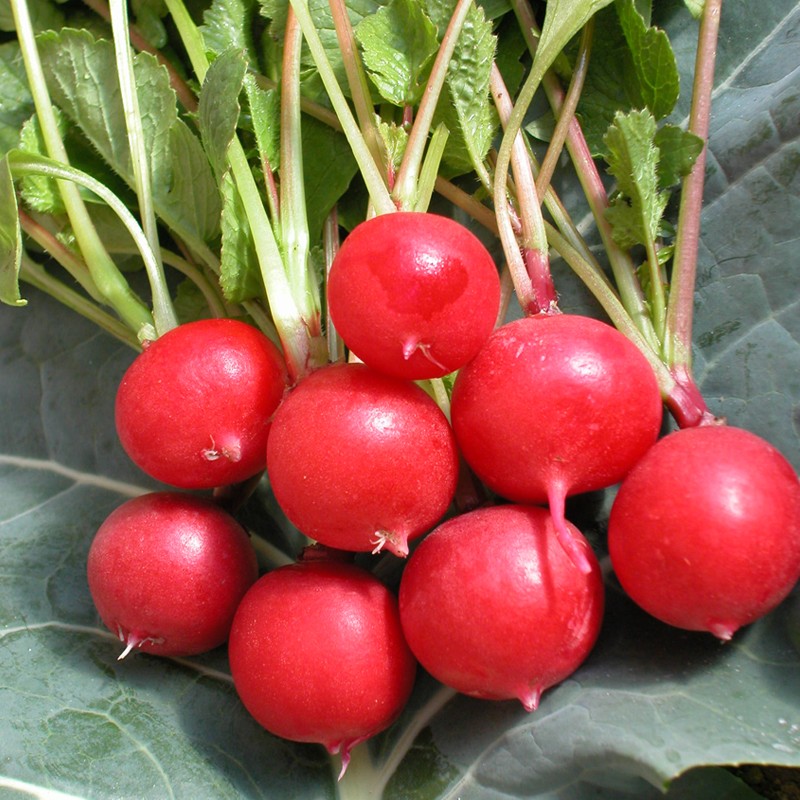 快囤,超值5只装,食品级小苏打大人小孩都能用!