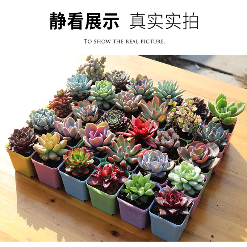 京东拼购商品 2020-07-03 - 第30张 | 最新购物优惠券 京东拼购商品 2020-07-03 - 第30张 | 最新购物优惠券