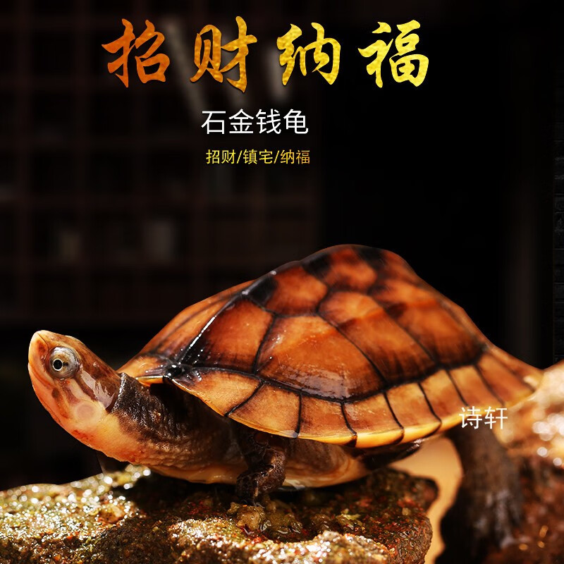 京东超市 2020-05-06 - 第20张  | 最新购物优惠券