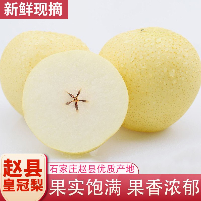远达河北特产皇冠梨净重4.5斤 9.9元 - 线报酷