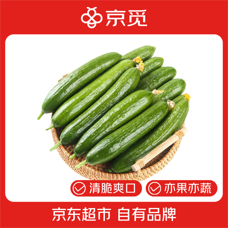 京觅山东荷兰水果黄瓜净重5斤 16.8元 - 折送网