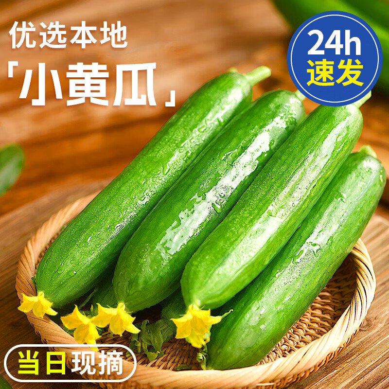 京鲜生山东精品嫩水果黄瓜净重4斤 13.8元 - 86线报