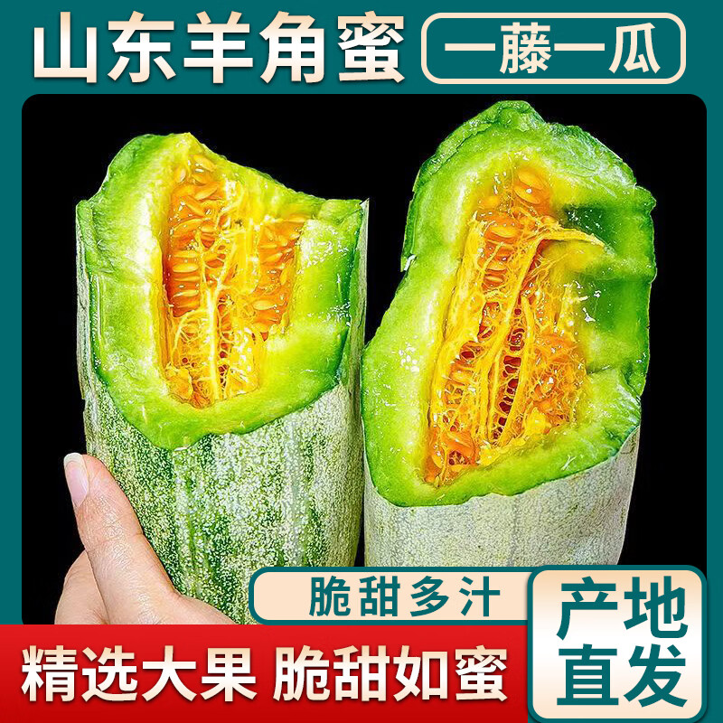 洮小婵山东羊角蜜甜瓜净4.5斤 16.9元 - 线报酷