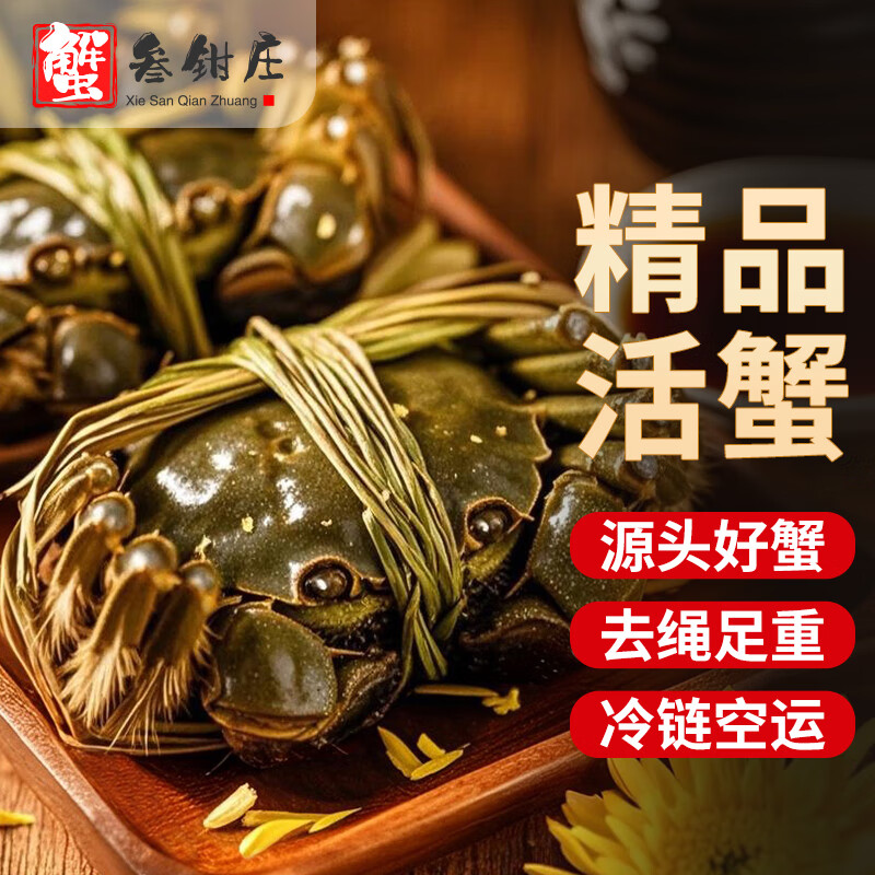 蟹叁钳庄大闸蟹去绳足重1.8-2.1两10只鲜活六月黄现货螃蟹中秋礼盒源头直发 89.00元 - 86线报