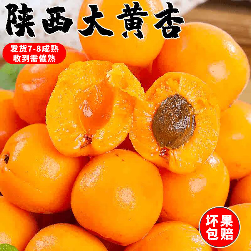 京世泽陕西金太阳大黄杏净重3斤 29.9元 - 线报酷