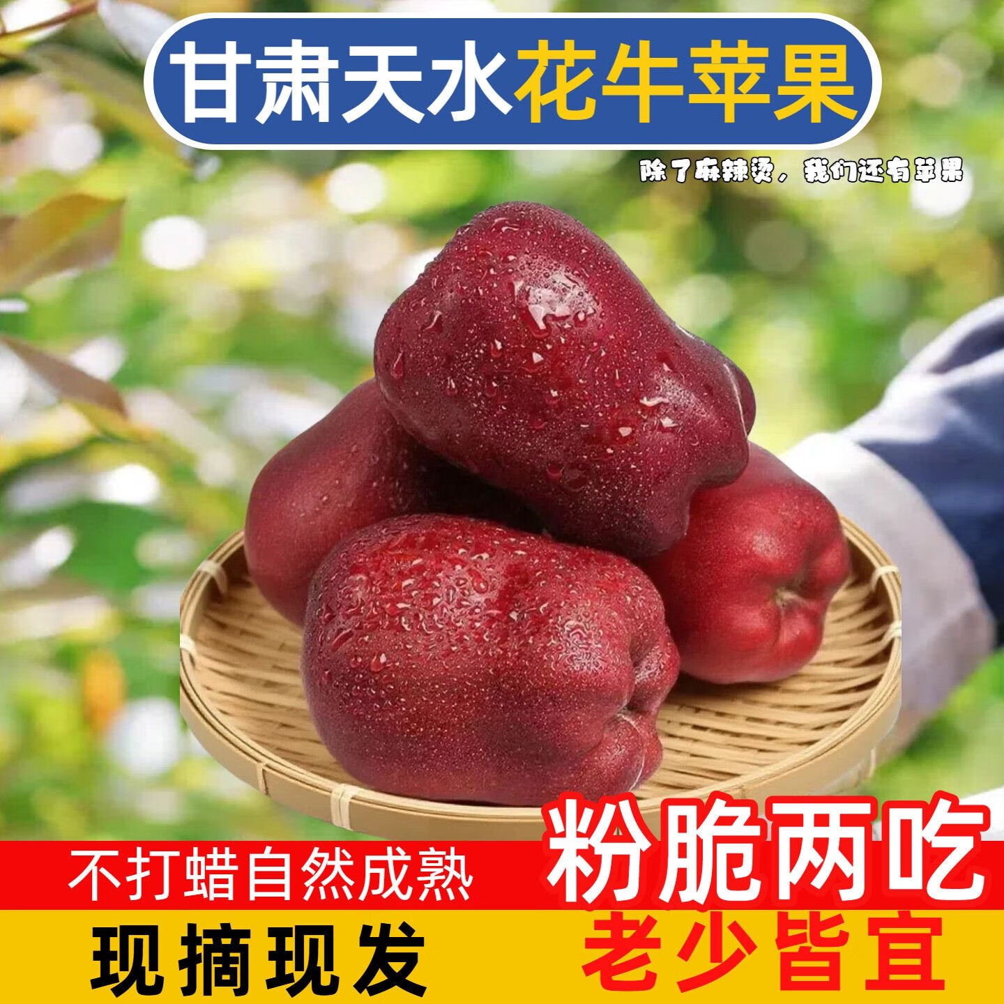笑脸电动车头盔 9.9元，花牛苹果带箱2斤 5.8元 - 86线报