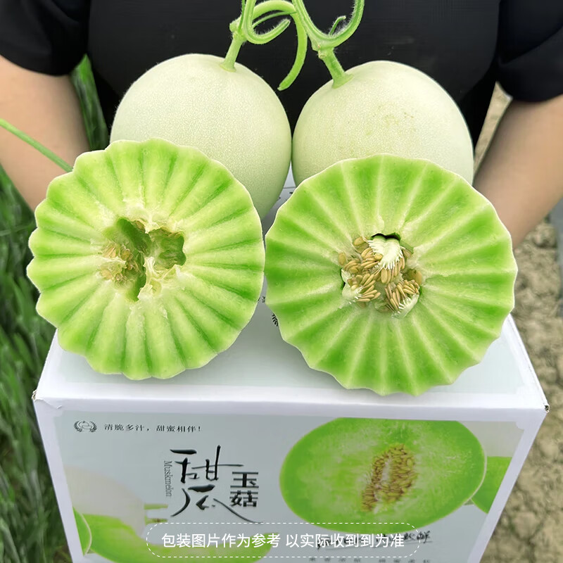 山东玉菇冰淇淋甜瓜净重4.5-5斤 15.9元 - 折送网