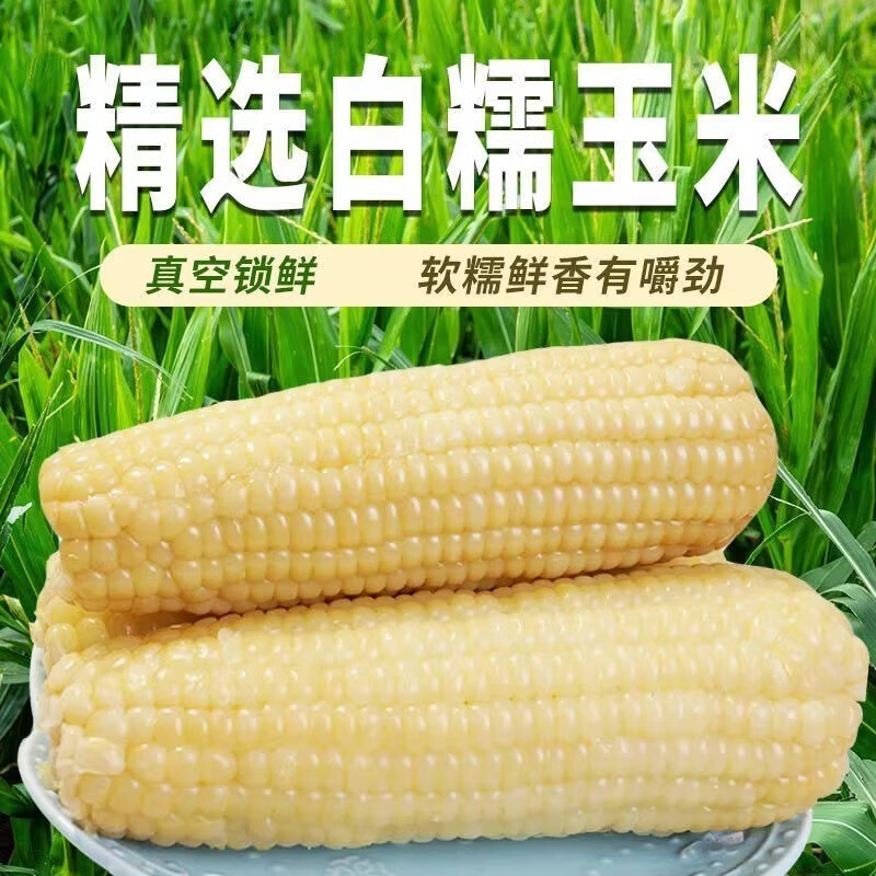 白糯玉米250g*8支 9.9元 - 86线报