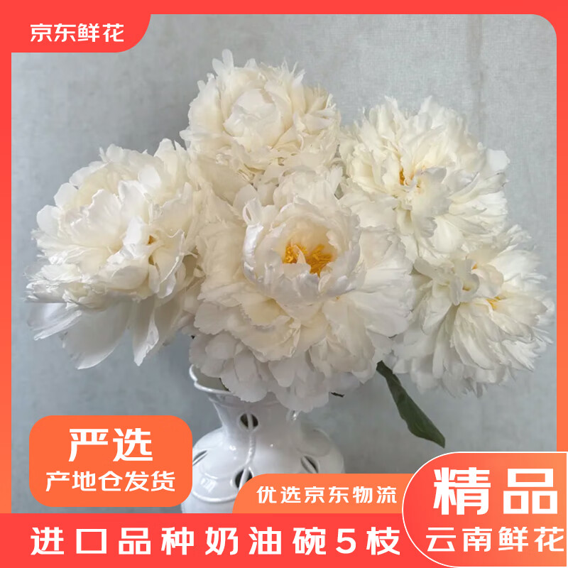 京东鲜花【产地仓严选】芍药进口品种奶油碗5枝柔美纯净水养鲜切花