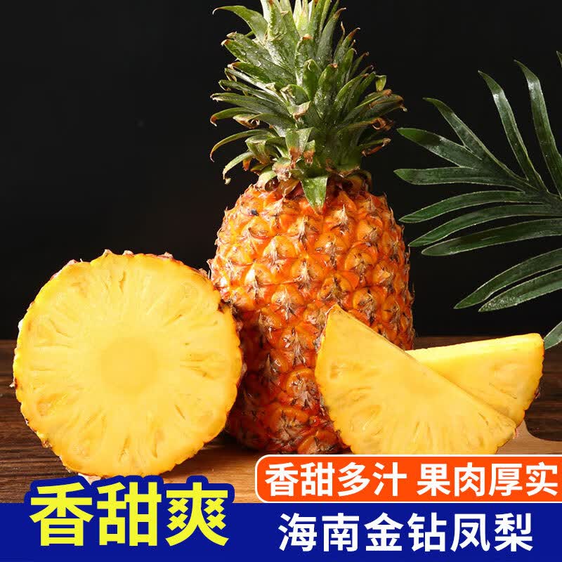 琪江果 海南金钻凤梨 净重4.5-5斤 16.9元 - 线报酷