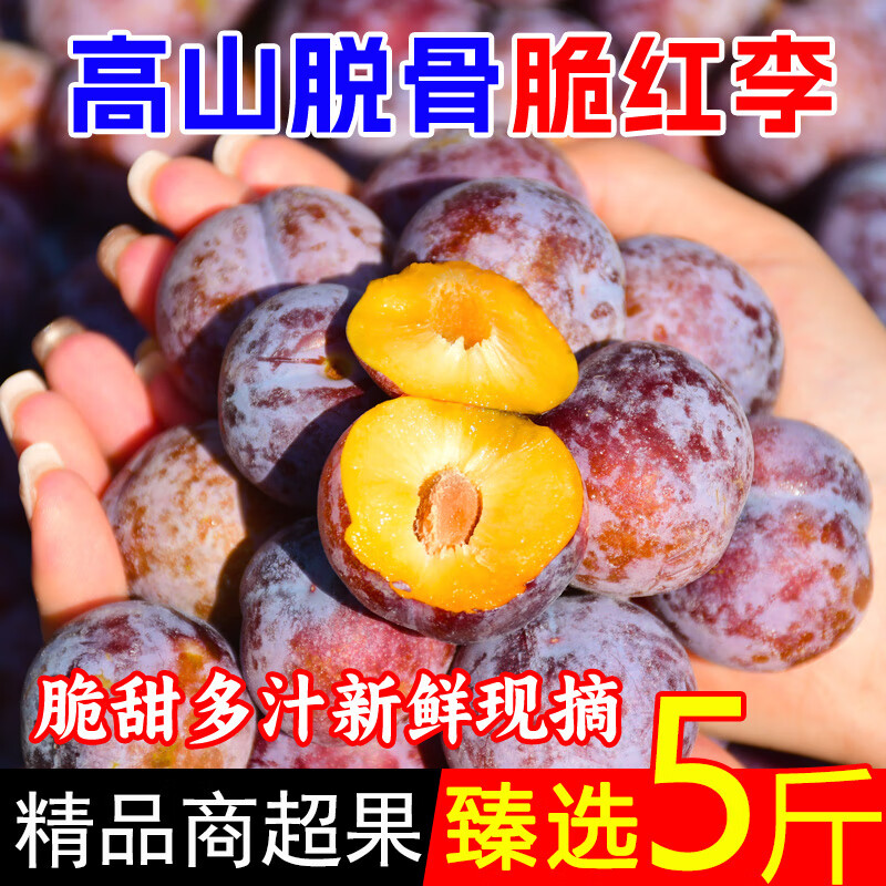 冲❗玖原农珍脆红李净4.5斤 臻选装 单果20g+ 脆甜💰19.8 - 86线报