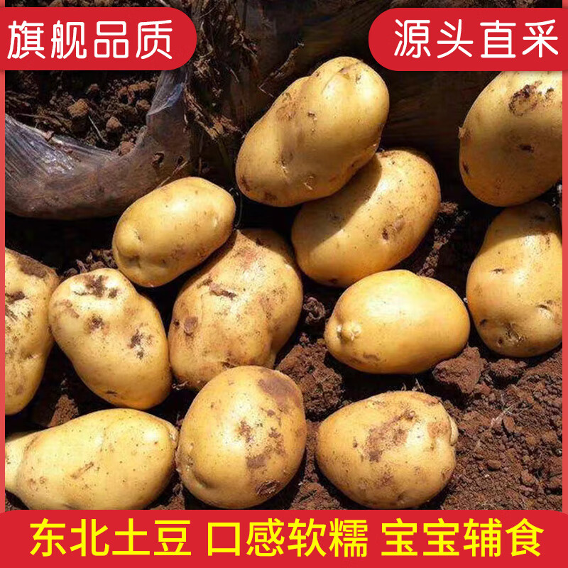 新鲜东北黄心土豆净重9斤 12.9元 - 86线报