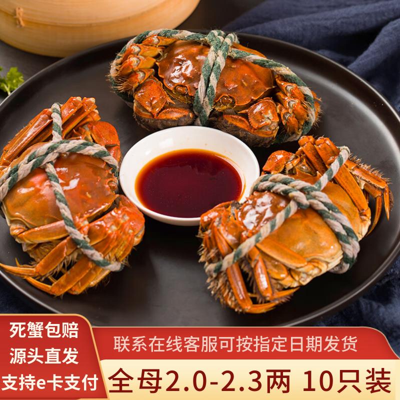 水淼鲜全母鲜活大闸蟹2.0-2.3两10只装 138元 - 86线报