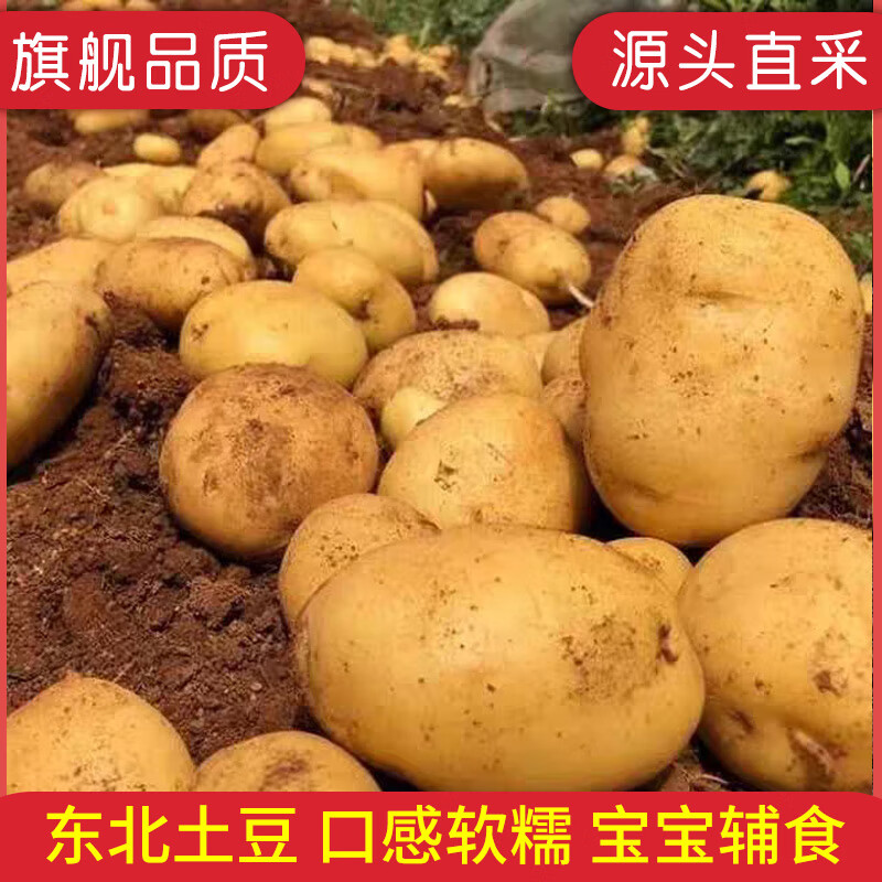 牛爱鲜东北黄心土豆净重9斤 12.9元 - 86线报